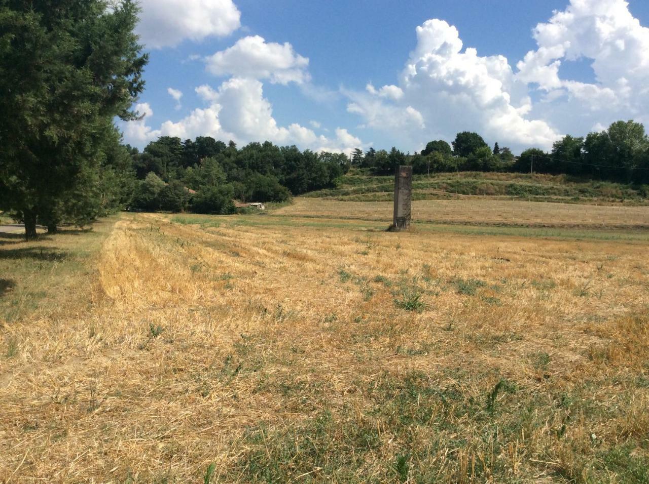 Agriturismo "La Fondazza" Imola Kültér fotó