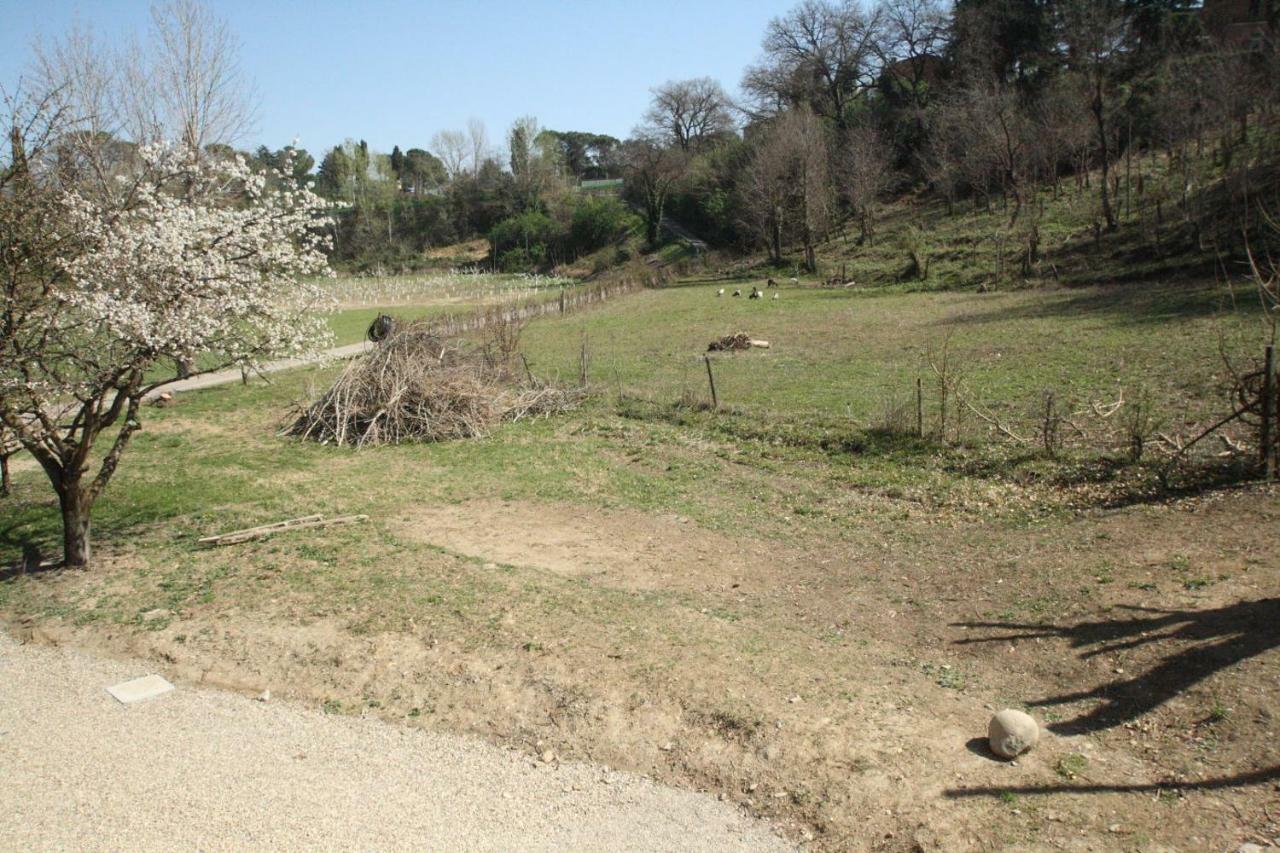 Agriturismo "La Fondazza" Imola Kültér fotó