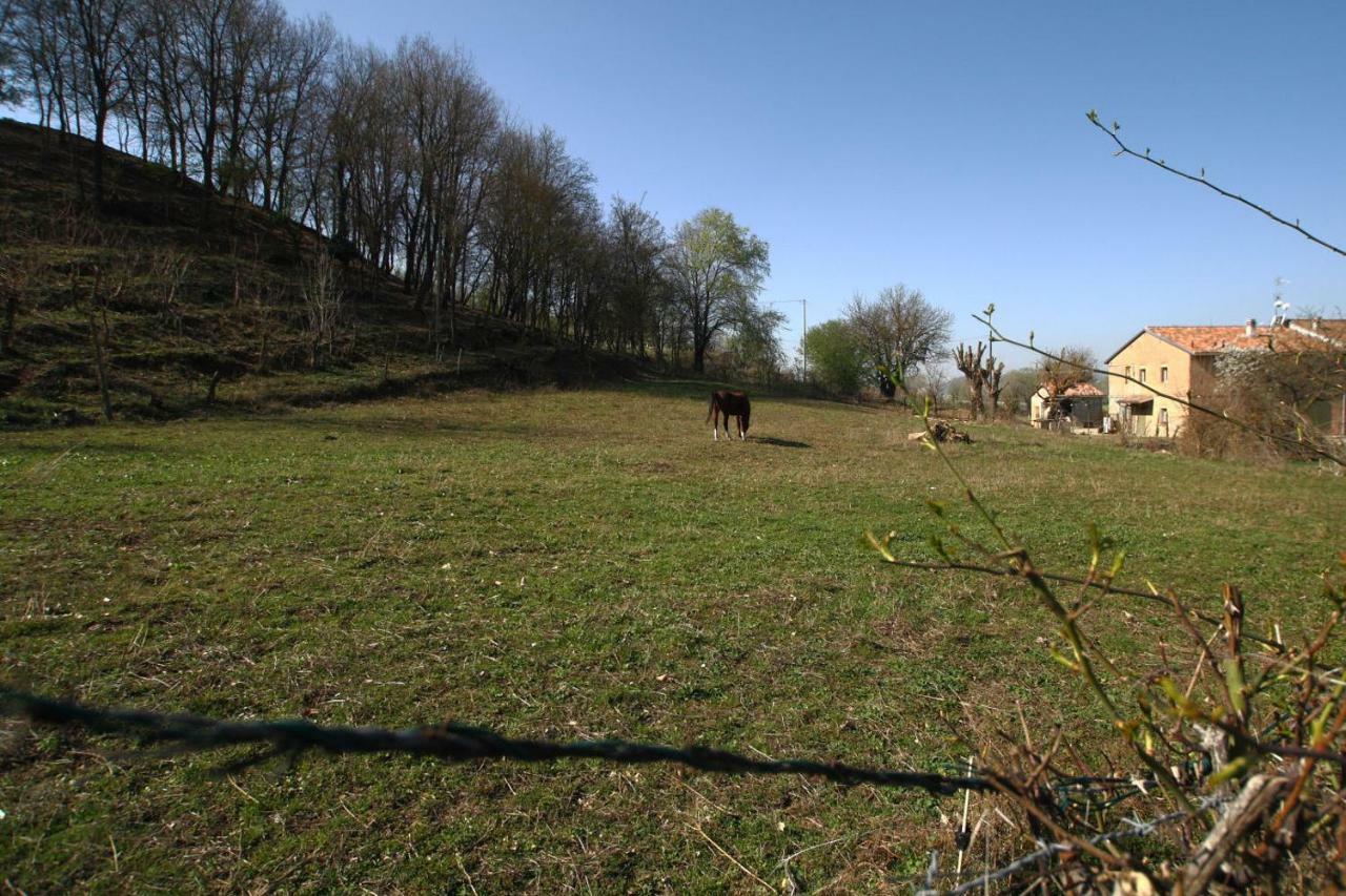 Agriturismo "La Fondazza" Villa Imola Kültér fotó