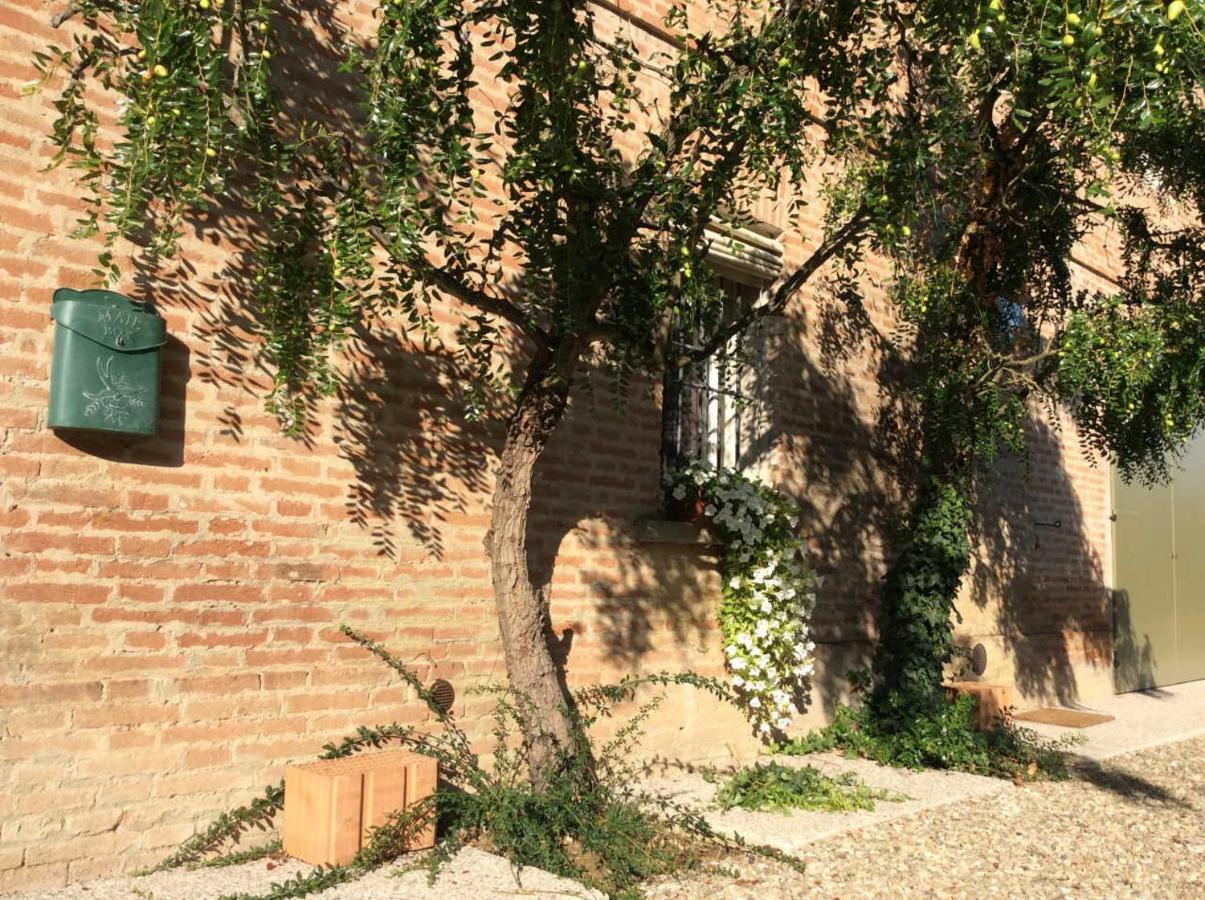 Agriturismo "La Fondazza" Imola Kültér fotó